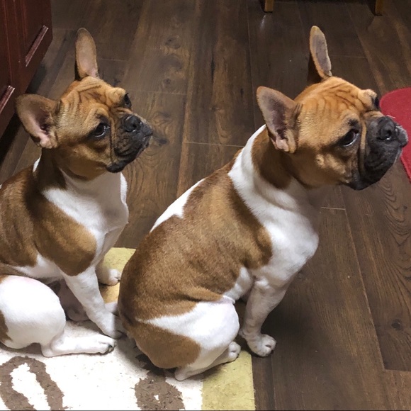 Meet your Posh Ambassador… - Picture 6 of 7